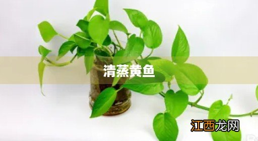 清蒸黄鱼鲞 清蒸黄鱼