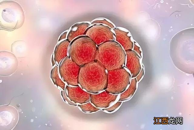 如何怀孕最快姿势真人 如何怀孕最快