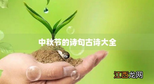 中秋节的诗句古诗大全李白 中秋节的诗句古诗大全