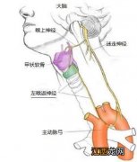 吞咽呛咳是什么原因 呛咳是什么原因