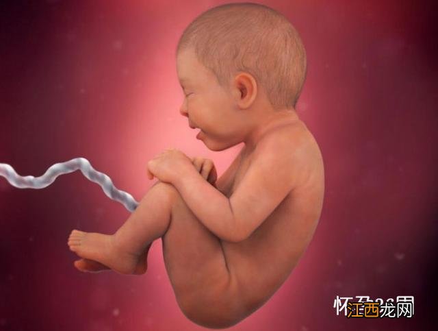 孕妇保健知识大全 孕妇知识大全