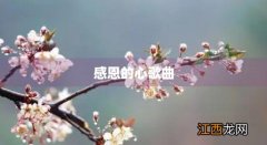 感恩的心歌曲简介 感恩的心歌曲