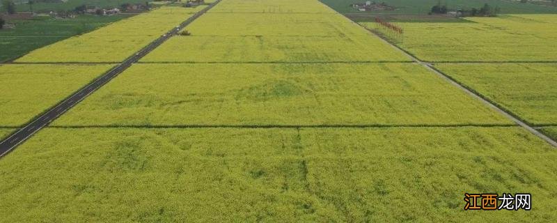 高标准基本农田建设项目，农田建设属于什么类别工程