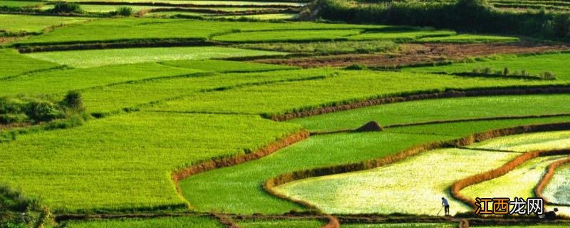 高标准农田建设的内容，高标准农田建设的目的和意义