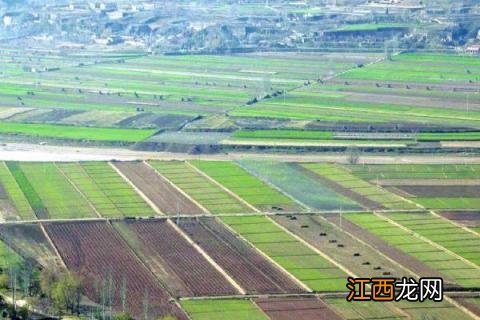 高标准农田建设项目是什么意思 高标准农田建设包括哪些项目