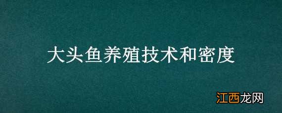 大头鱼养殖技术和密度有关吗 大头鱼养殖技术和密度