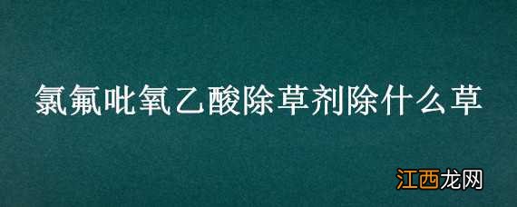 氯氟吡氧乙酸除草剂除什么草剂 氯氟吡氧乙酸除草剂除什么草