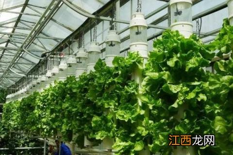 农业类型有哪几种 初中农业类型有哪几种