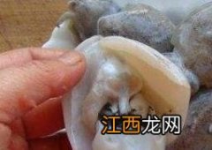 墨鱼对孩子的功效 墨鱼对孩子的功效与作用