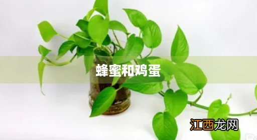 蜂蜜和鸡蛋清做面膜有效果吗 蜂蜜和鸡蛋