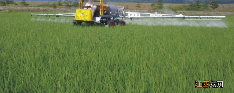 高盖除草剂使用范围,抗性稗草用什么除草剂