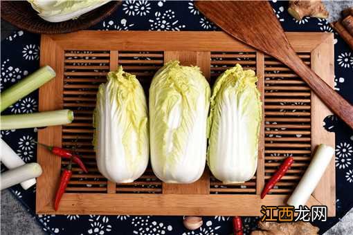 白菜怎么种才能长得好 白菜怎么种才能长得好呢