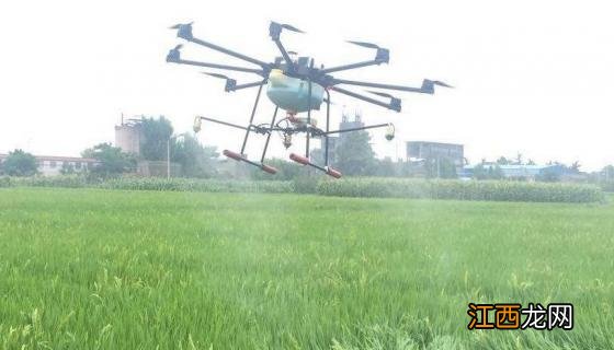 打杀菌药最佳时间,喷多久下雨没有影响