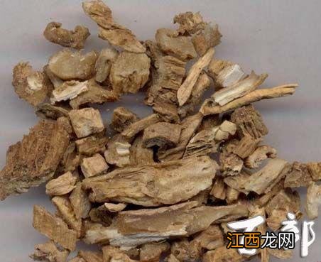 被跳蚤咬了的症状用什么药 被跳蚤咬了的症状