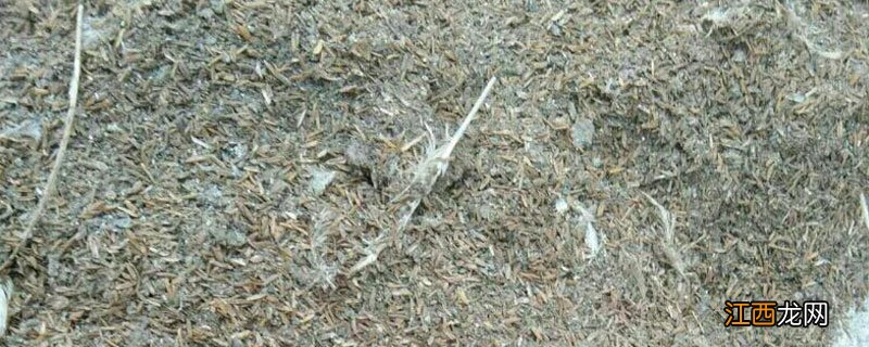 有机肥用多了会烧根吗，烧根了怎么办