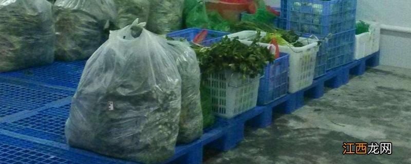 蔬菜配送公司需要哪些条件,注册时需要办理什么手续