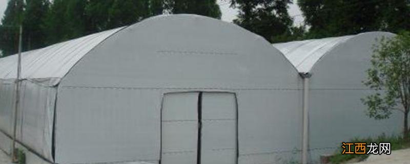 大棚专用黑白膜哪面朝上 大棚黑白膜哪面朝上,优缺点是什么