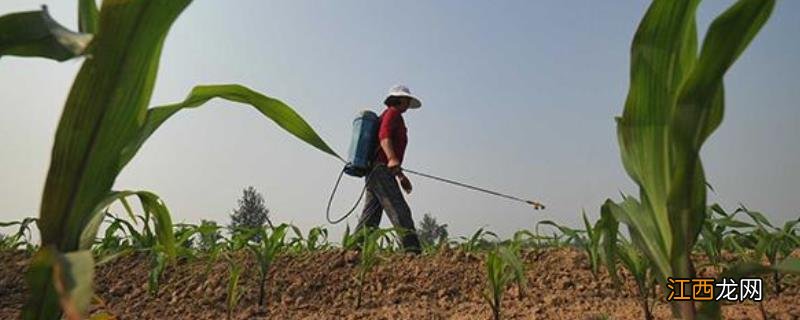 三乙膦酸铝不能与哪些混用,附作用及使用方法