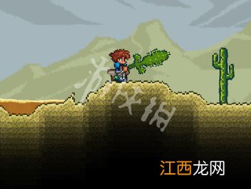 泰拉瑞亚专家前期攻略 泰拉瑞亚专家模式开荒教程图文攻略