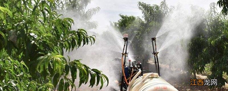 波尔多液使用后多久不能见雨 波尔多液多长时间不能见雨