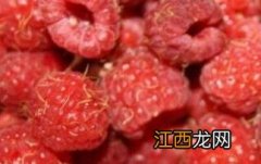 覆盆子泡水喝的功效与作用 菟丝子覆盆子泡水喝的功效与作用