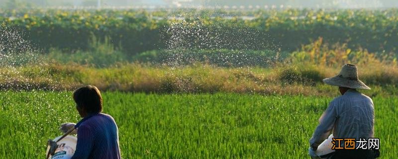 钼酸铵的农业用途，用量及使用方法 钼酸铵的农业用途,用量及使用方法图片