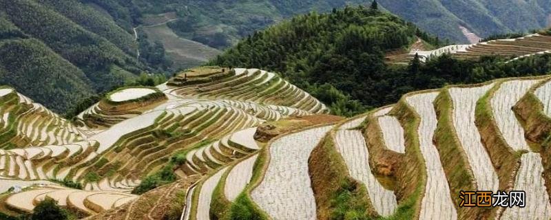 坡度在多少度时不适宜发展种植业 禁止在几度陡坡种植，为什么