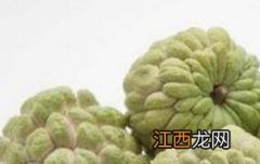 番荔枝的功效与作用 番荔枝的功效与作用禁忌