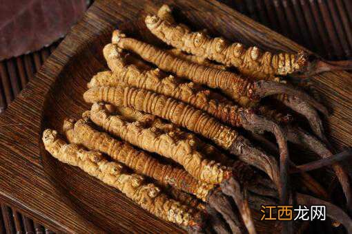 冬虫夏草的功效 冬虫夏草的功效与作用有哪些