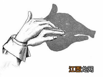 手影动物大聚会 手影动物