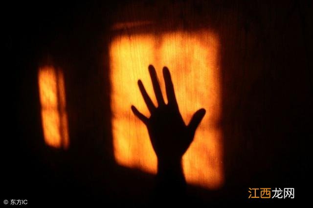 手影动物大聚会 手影动物