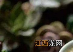 油菜花蜜怎样辨别真假 油菜花蜂蜜怎么辨别真假