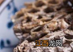 露蜂房的功效与作用及药用价值 露蜂房的作用与功效与作用