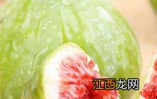 无花果粉的功效与作用 无花果粉的功效和作用