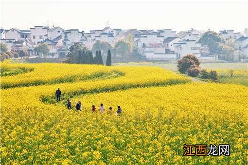 休闲农业如何促进农民增收 推进农民增收