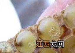 蜂王浆如何鉴别真假 蜂王浆真假辨别方法