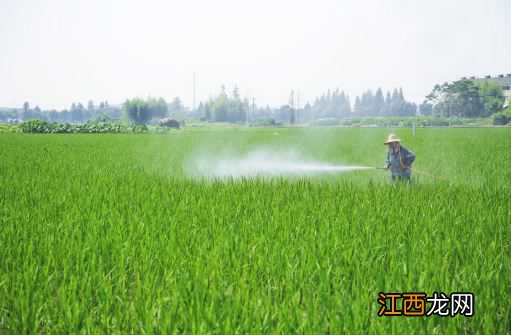 2020疫情过后的商机有哪些 2020疫情过后的商机有哪些呢