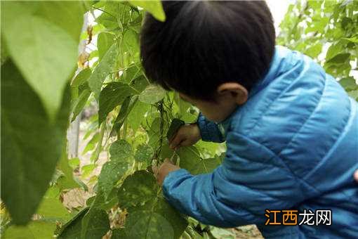 2020年藏在农村的暴利小生意有哪些呢 2020年藏在农村的暴利小生意有哪些