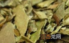 蜜枇杷叶的功效与作用 炒紫苏子的功效与作用