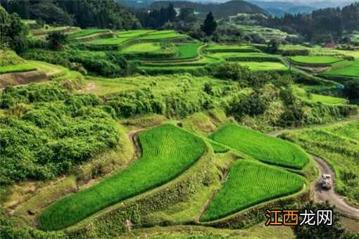 2020农村创业好项目推荐:这五个项目极具发展潜力!