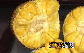 菠萝蜜中间的心可以吃吗 菠萝蜜中间的心怎么吃