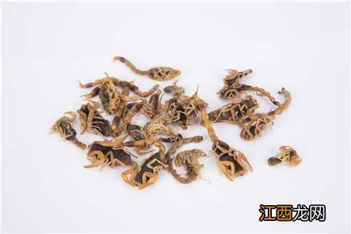 2019年最新蝎子价格行情怎么样