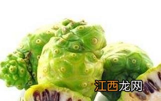 诺丽果的营养价值及功效作用 诺丽果的营养价值及功效