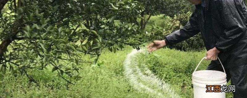 新栽的树苗多久上肥 新种植树苗多久施肥