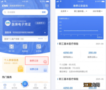 怎么用手机查医保缴费记录 怎么用手机查医保缴费记录明细