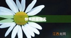 快乐的星期天歌曲 快乐的星期天