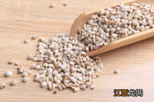 草珠子与薏米的区别 草珠子和薏米的区别图