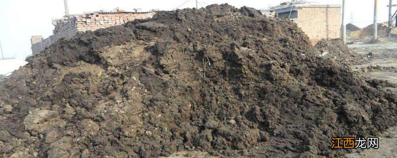 有机肥和营养土的区别 有机营养土和通用营养土有什么区别