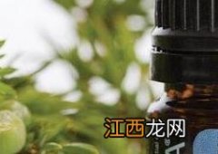 杜松浆果精油的功效与作用 杜松浆果精油的功效与作用机理