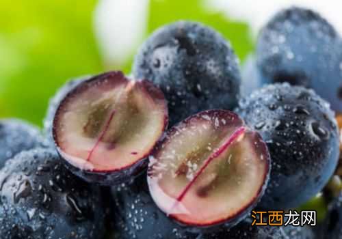 巨峰葡萄栽培技术 巨峰葡萄栽培技术和管理技术